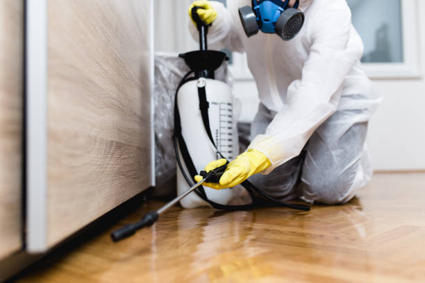 Best Emergency Pest Control  in Chester, IL