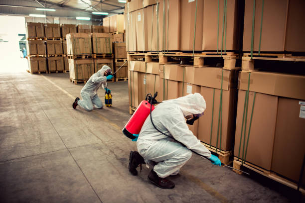 Best Mosquito Control Services  in Chester, IL