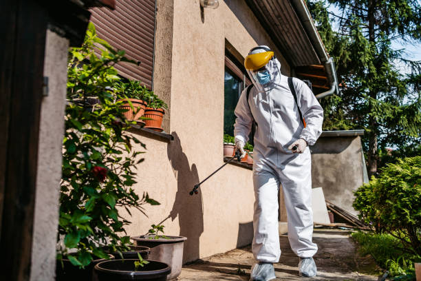 Best Rat Extermination Near Me  in Chester, IL