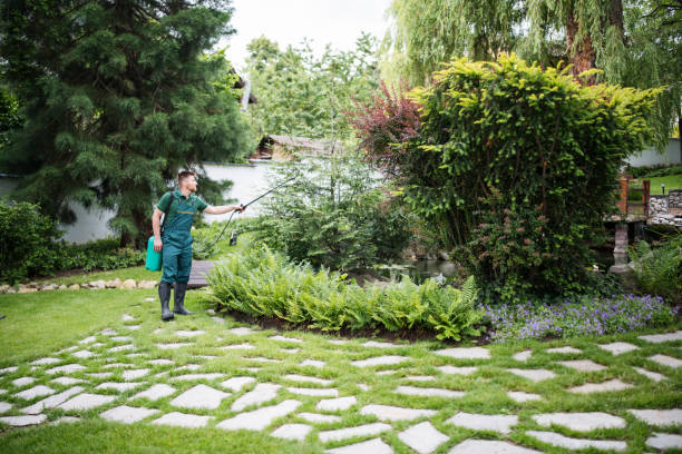 Reliable Chester, IL Pest Control Solutions