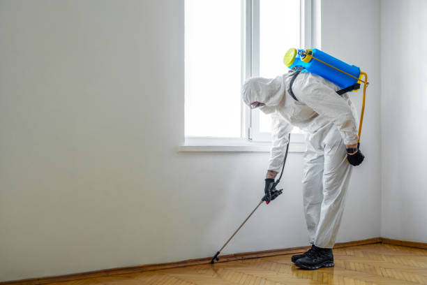 Best Wasp Removal Services  in Chester, IL