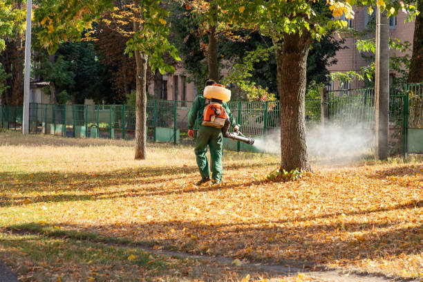 Pest Control for Restaurants in Chester, IL