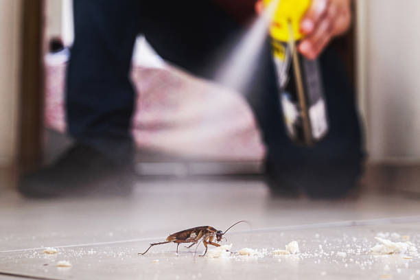 Best Best Pest Control Companies  in Chester, IL